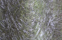 Hooe fibreglass roof work